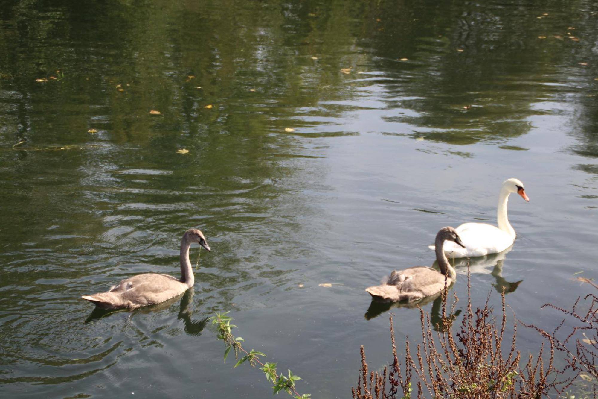 Sealov Hebergements Insolites- Linge, Menage Et Velos Inclus Eaucourt-sur-Somme Exterior foto
