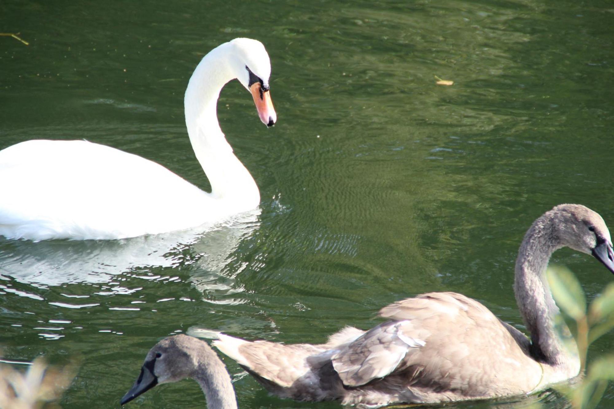 Sealov Hebergements Insolites- Linge, Menage Et Velos Inclus Eaucourt-sur-Somme Quarto foto
